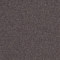 Ковровая плитка Interface Biosfera Boucle 7875 Ambra фото 1 | FLOORDEALER